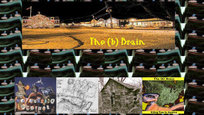 The B Brain